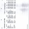 1998 RTL Ergebnisse