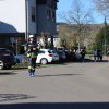 IMG_9542